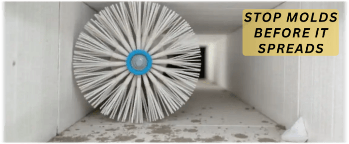 Air Duct Mold Removal in Hialeah FL