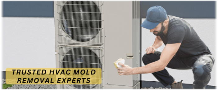 HVAC Mold Removal Hialeah FL